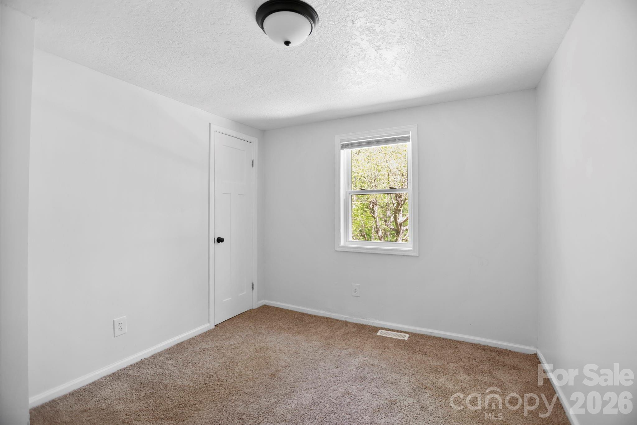 1007 North Fork Road Barnardsville, NC 28709 - Photo 20 of 24