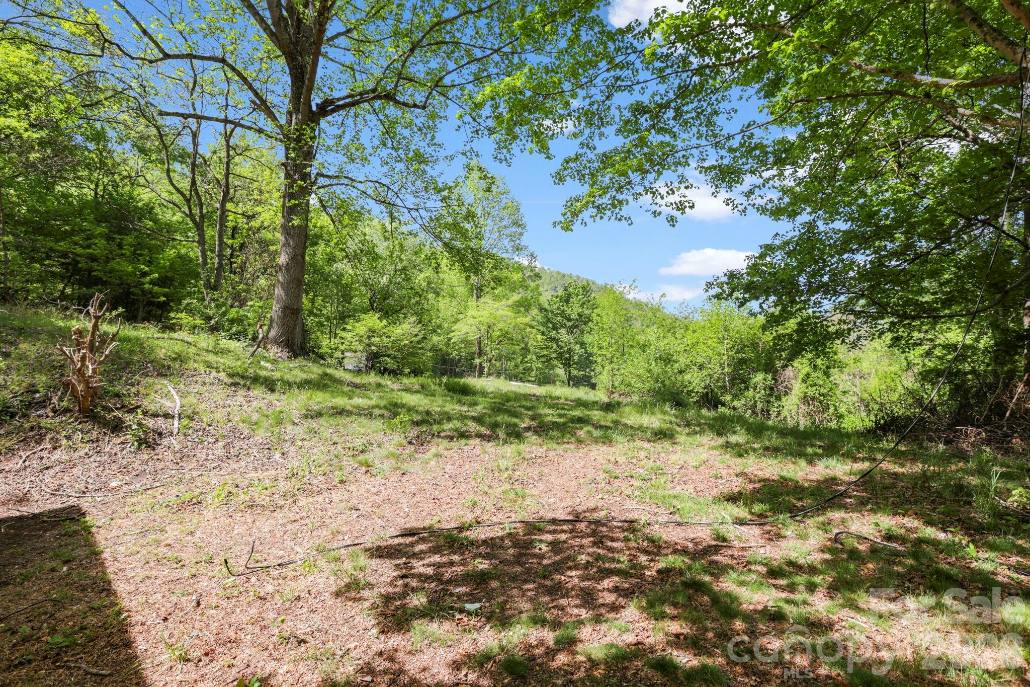 1007 North Fork Road Barnardsville, NC 28709 - Photo 4 of 24