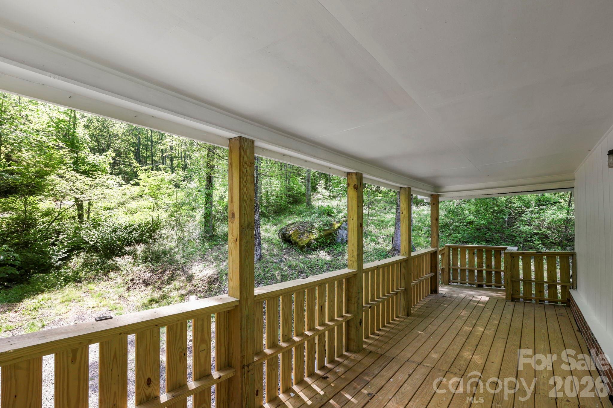 1007 North Fork Road Barnardsville, NC 28709 - Photo 10 of 24