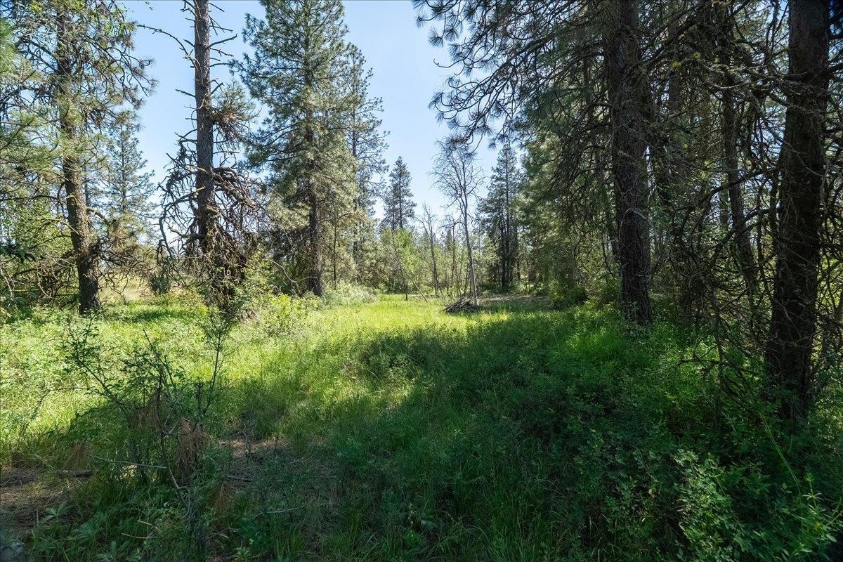 5339 West Anderson Road Cheney, WA 99004 - Photo 11 of 27