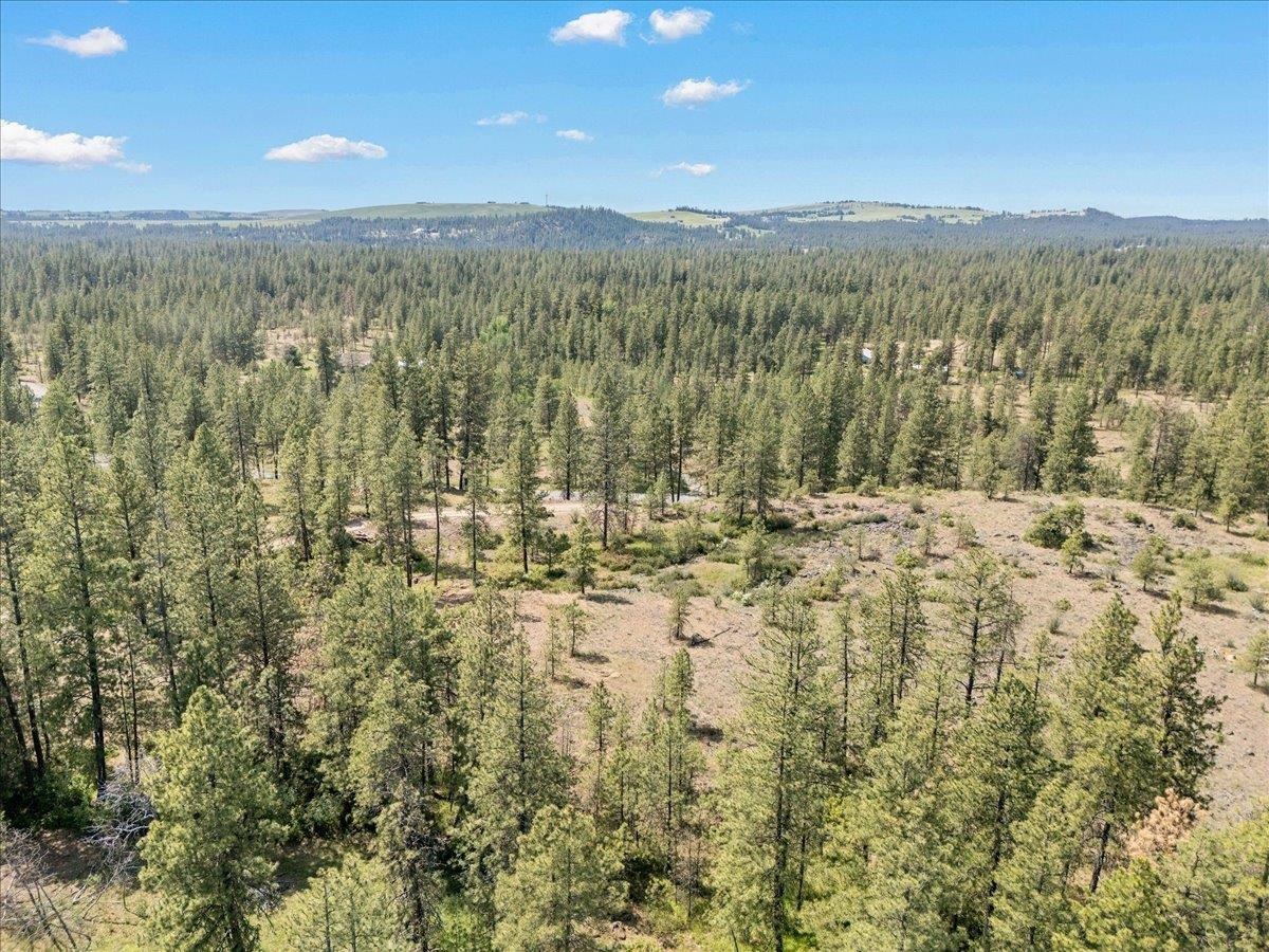 5339 West Anderson Road Cheney, WA 99004 - Photo 12 of 27