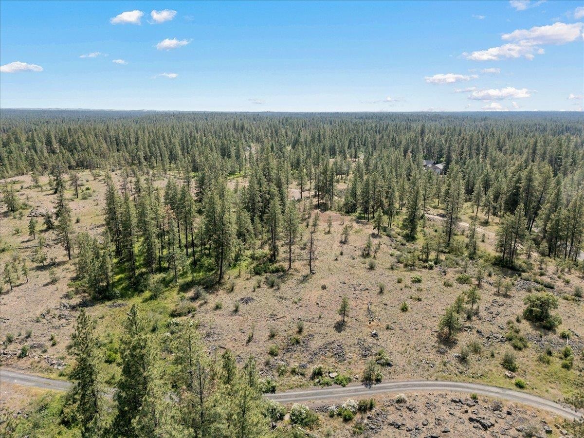 5339 West Anderson Road Cheney, WA 99004 - Photo 13 of 27