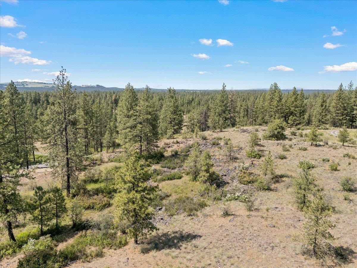 5339 West Anderson Road Cheney, WA 99004 - Photo 17 of 27