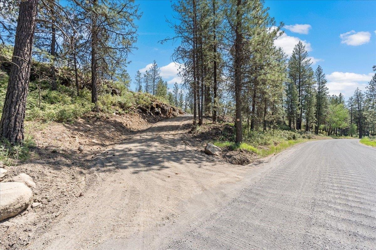 5339 West Anderson Road Cheney, WA 99004 - Photo 2 of 27