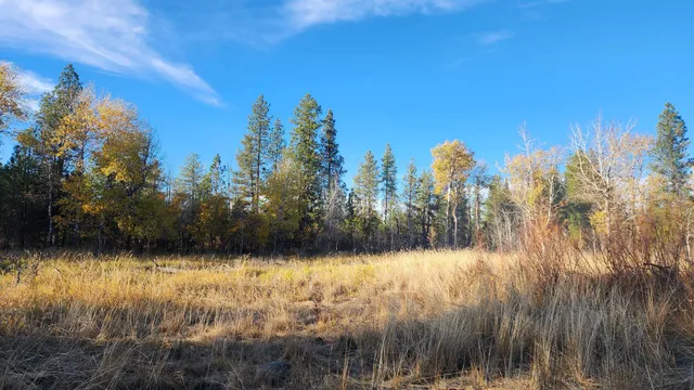 $239,500 | 5339 West Anderson Road, Cheney, WA 99004