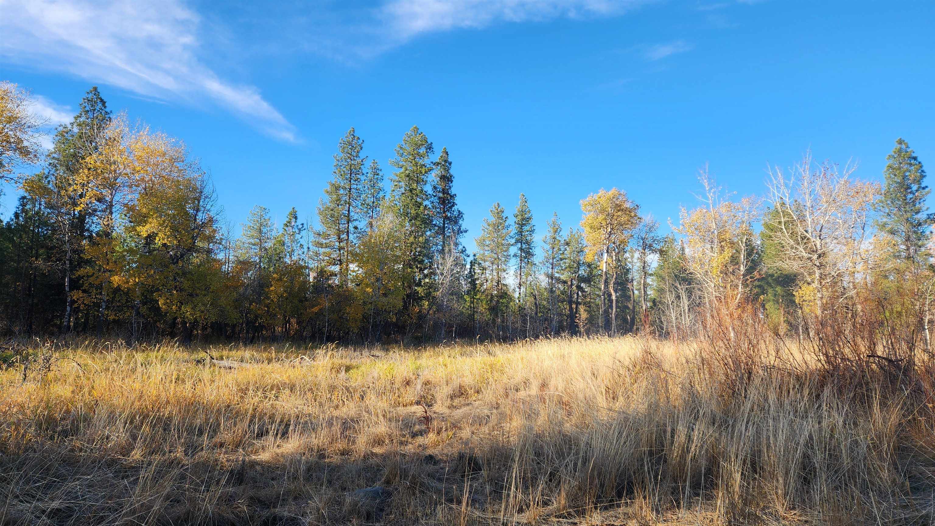 5339 West Anderson Road Cheney, WA 99004 - Photo 21 of 27