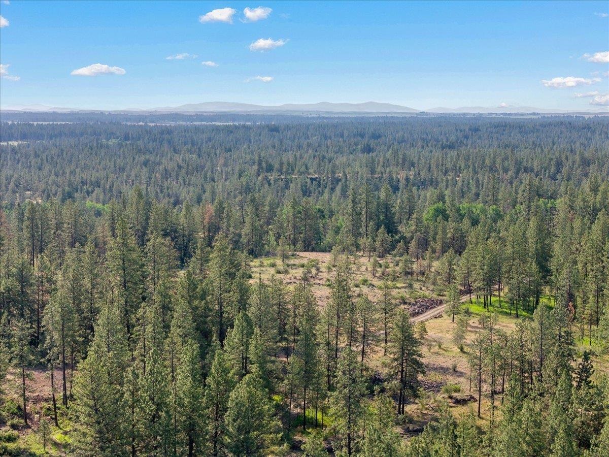 5339 West Anderson Road Cheney, WA 99004 - Photo 25 of 27