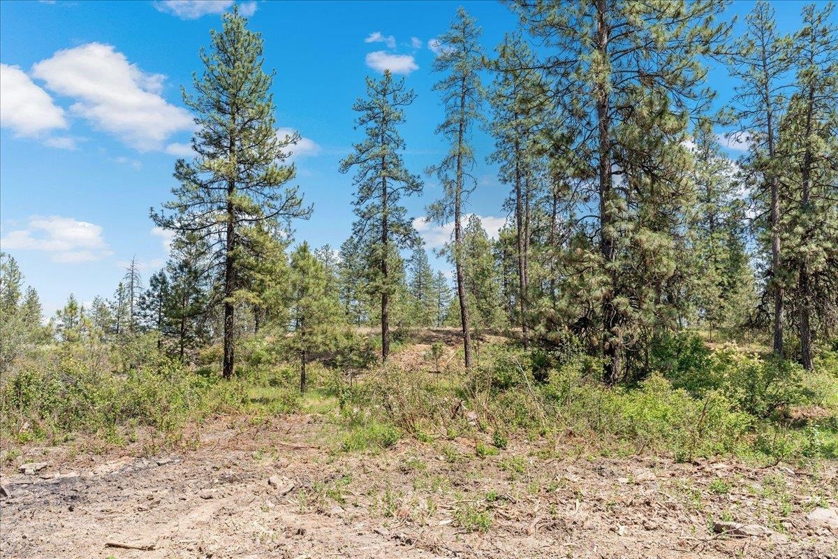 5339 West Anderson Road Cheney, WA 99004 - Photo 4 of 27