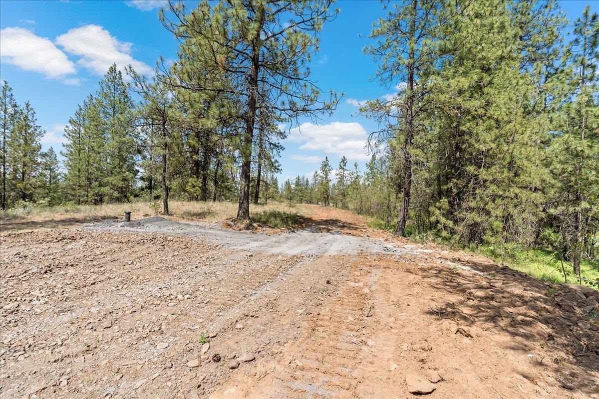 5339 West Anderson Road Cheney, WA 99004 - Photo 5 of 27