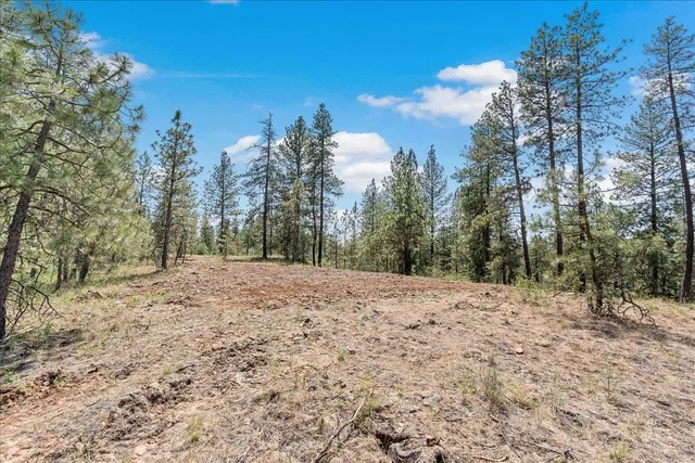 $239,500 | 5339 West Anderson Road, Cheney, WA 99004