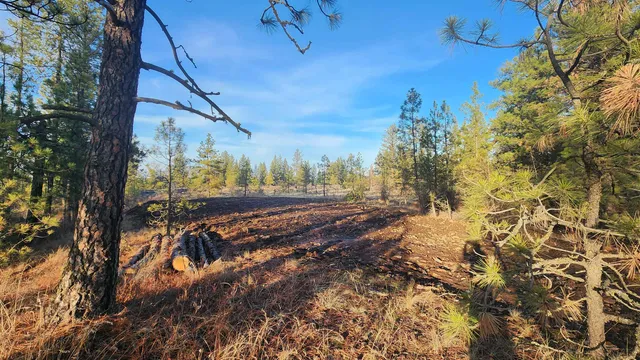 $239,500 | 5339 West Anderson Road, Cheney, WA 99004