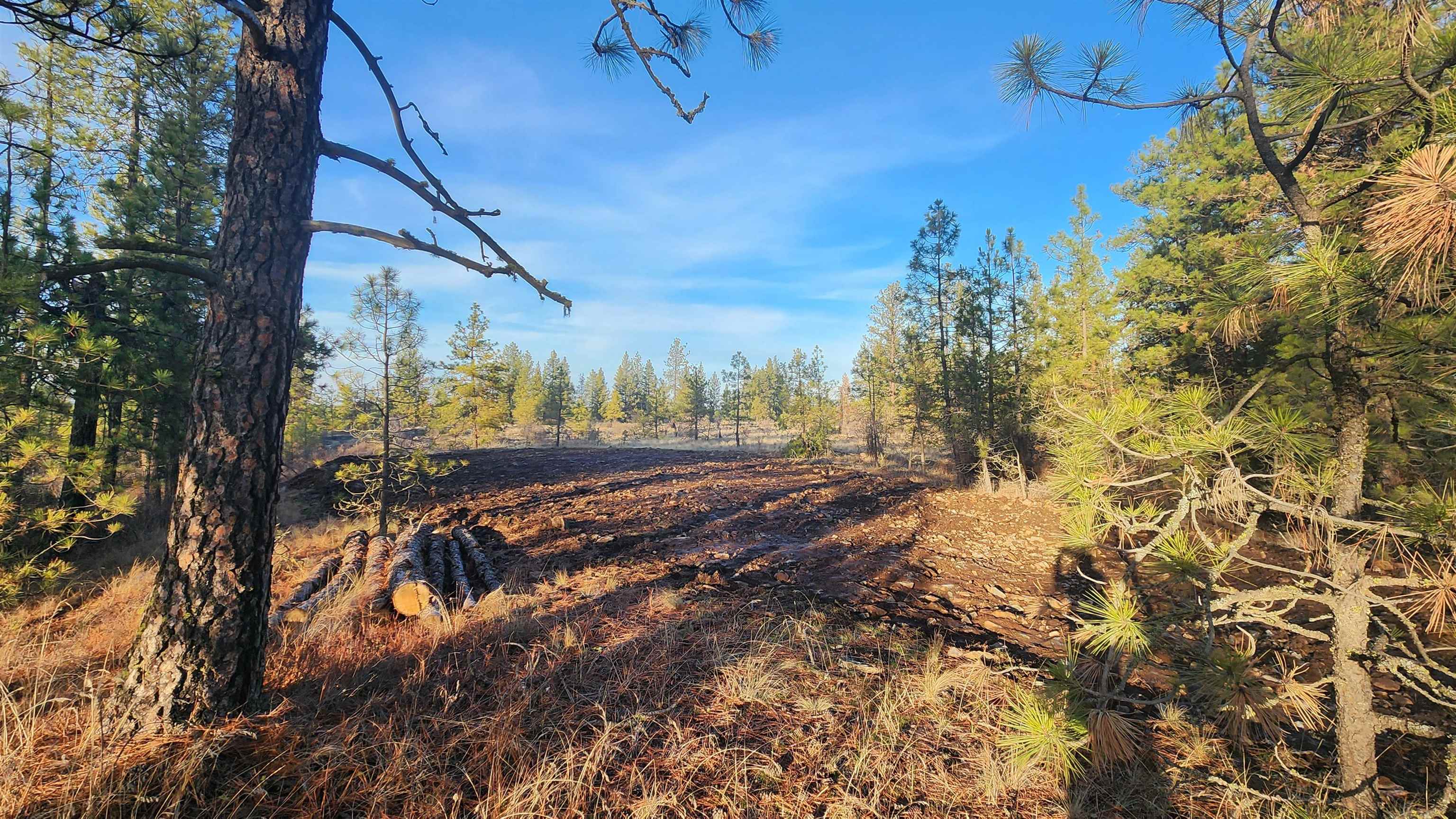 5339 West Anderson Road Cheney, WA 99004 - Photo 8 of 27