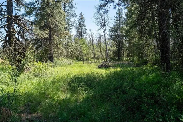 $239,500 | 5339 West Anderson Road, Cheney, WA 99004