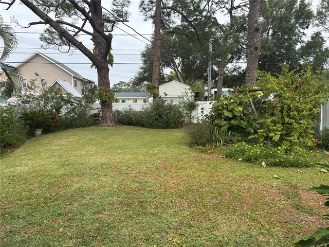 a view of a yard with a tree