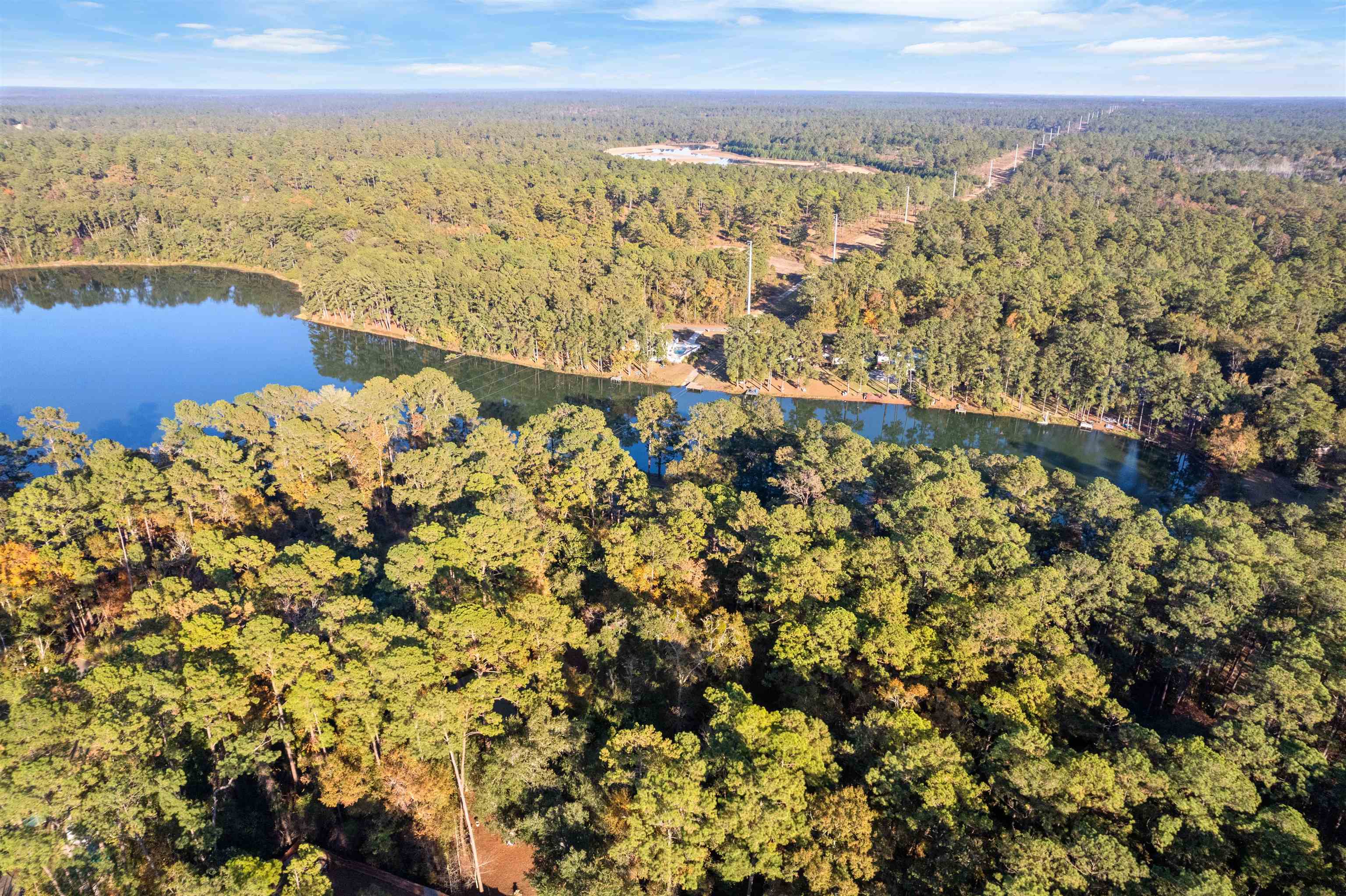 3508 Willow Springs Lane Tallahassee, FL 32312 - Photo 33 of 55