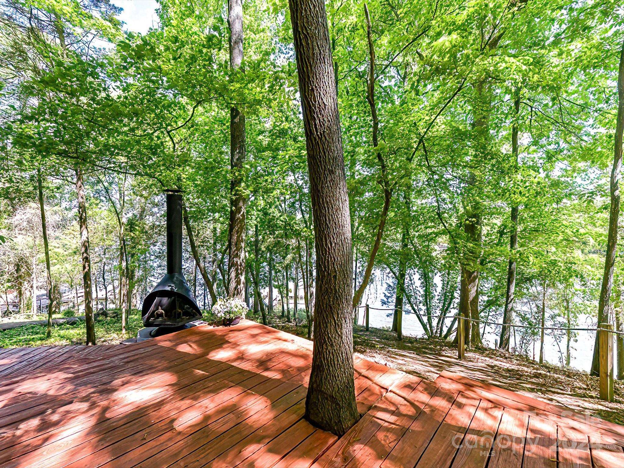 1665 Bowater Road Rock Hill, SC 29732 - Photo 25 of 43 a view of a yard with plants and trees