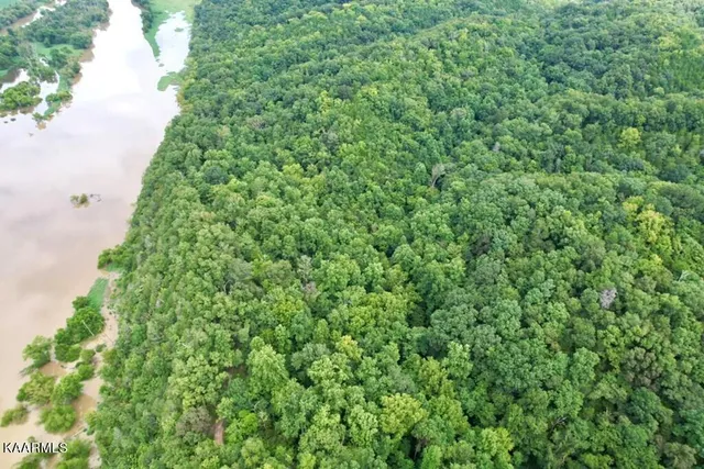 $99,000 | Corn Hollow Road, Newport, TN 37821