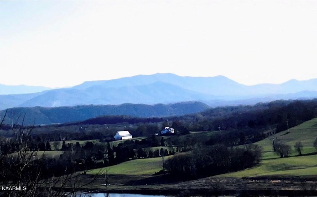 Corn Hollow Road Newport, TN 37821 - Photo 2 of 17 609413_6