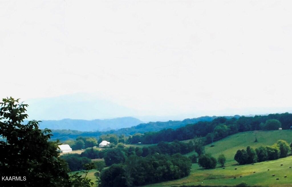 Corn Hollow Road Newport, TN 37821 - Photo 7 of 17 609413_4