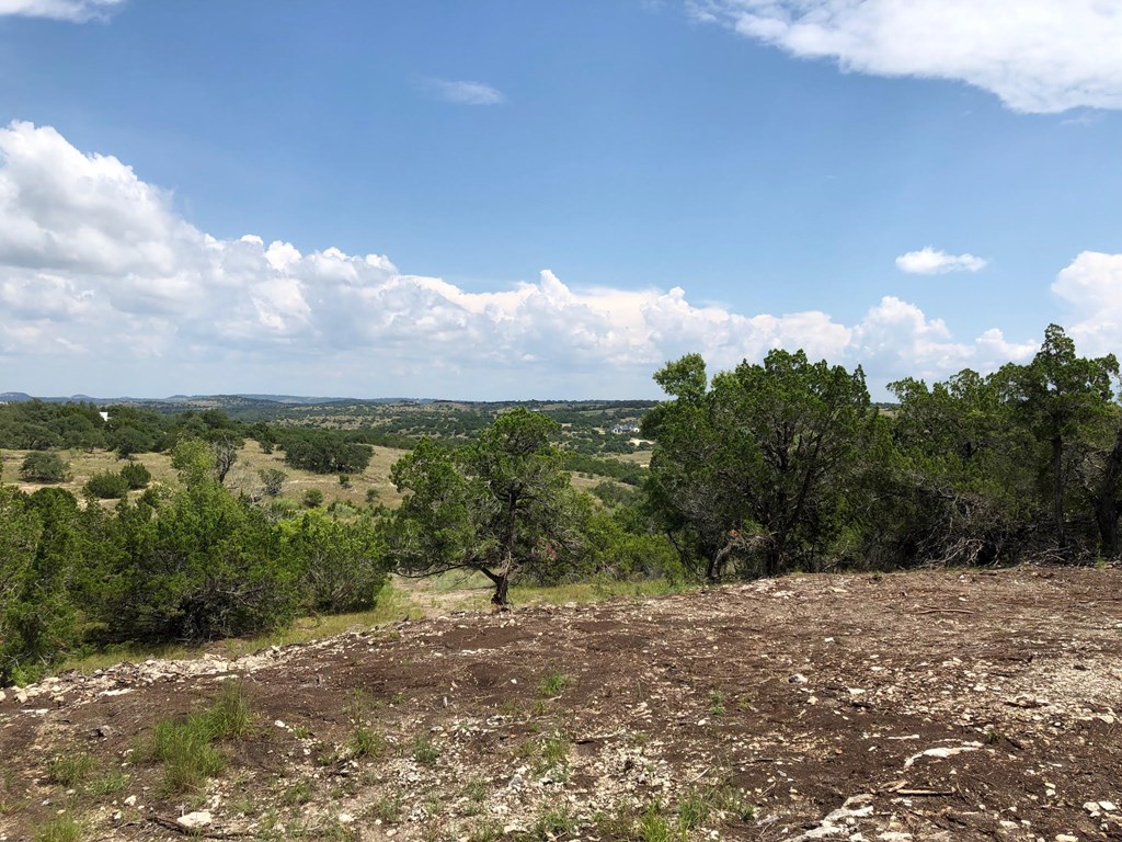2 Sanctuary Lane, Unit 2 Blanco, TX 78606 - Photo 7 of 13 a view of a road with a building in background
