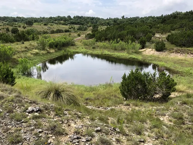a view of a lake in middle of forest