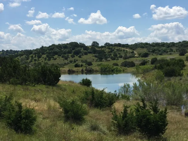 a view of a lake from a yard