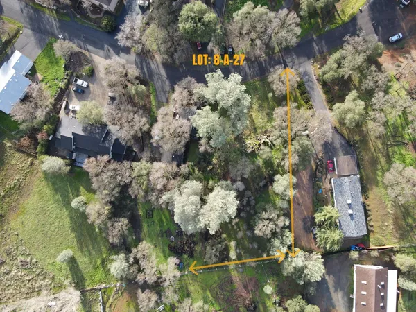 a view of a yard with trees