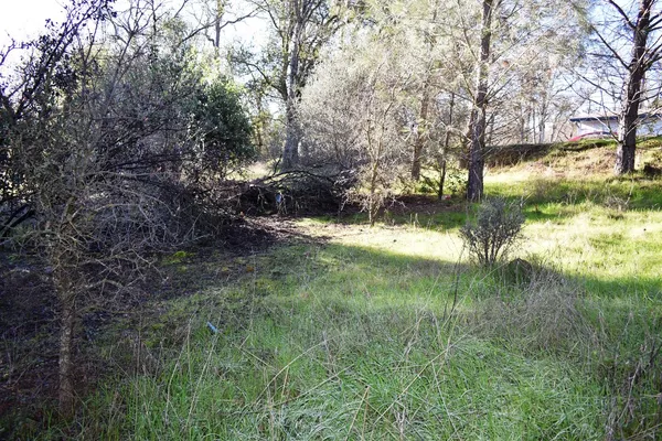 $35,000 | 1032 Feather Court, Copperopolis, CA 95228