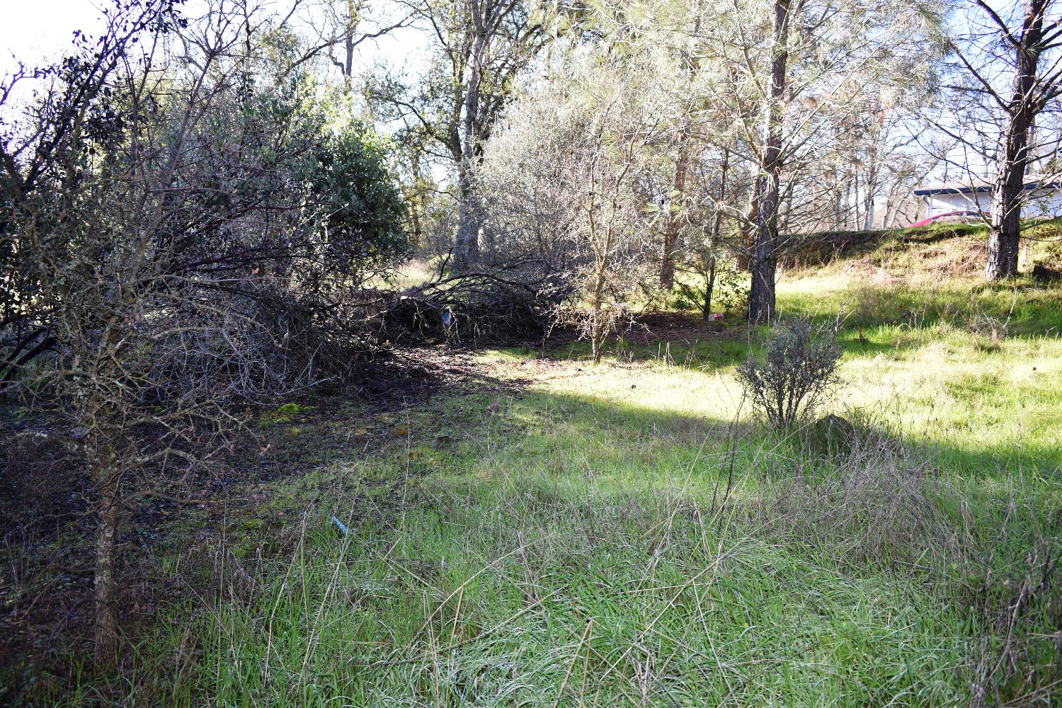 1032 Feather Court Copperopolis, CA 95228 - Photo 7 of 8 a view of lake view