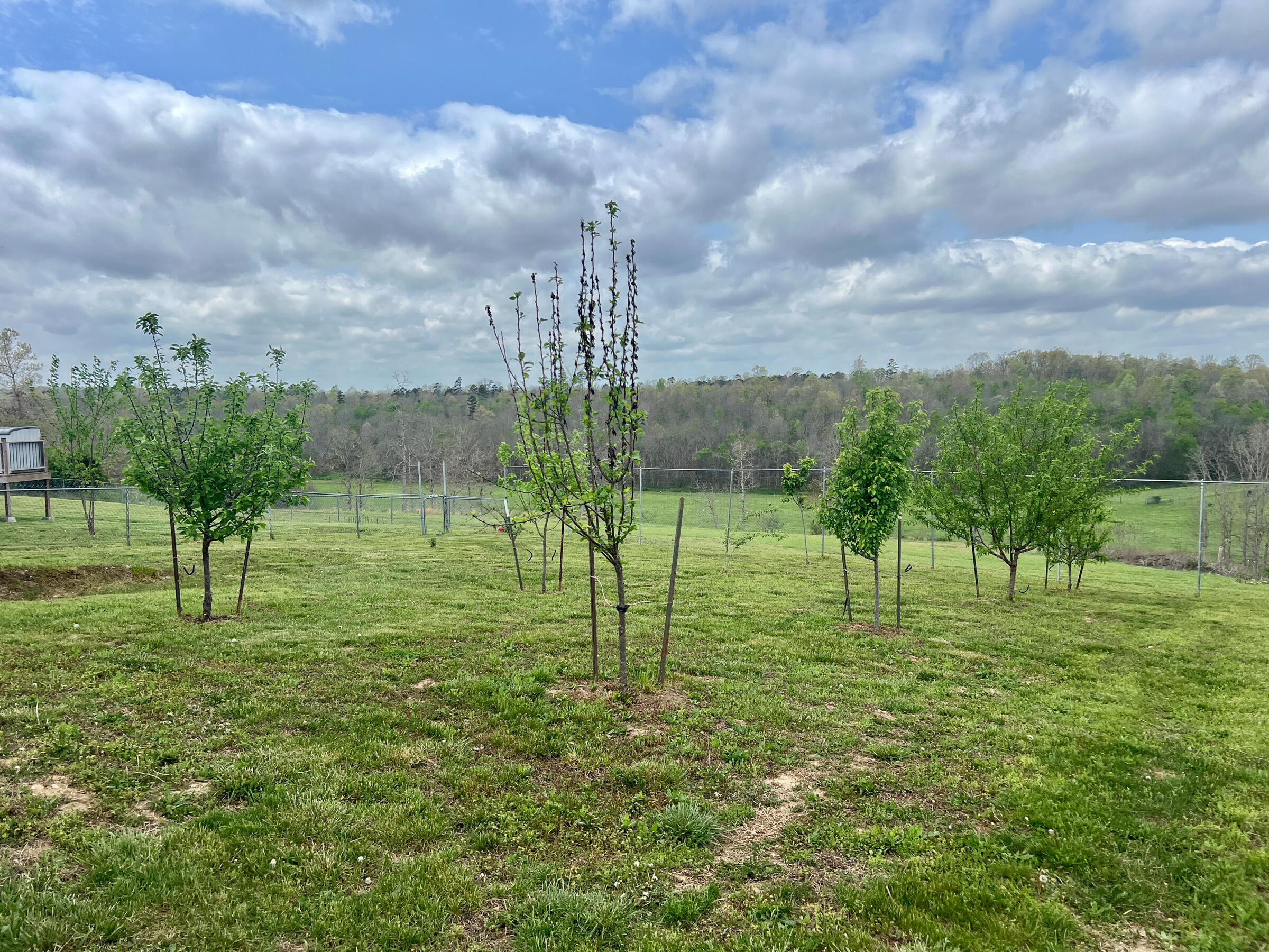 4083 State Route West West Plains, MO 65775 - Photo 52 of 72 51