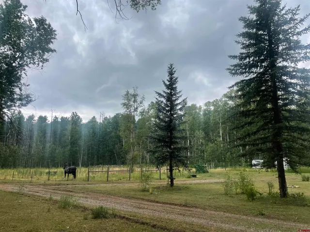 a view of a park with lots of trees