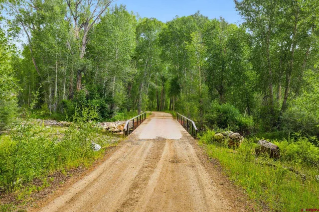 a view of flowing water with large trees