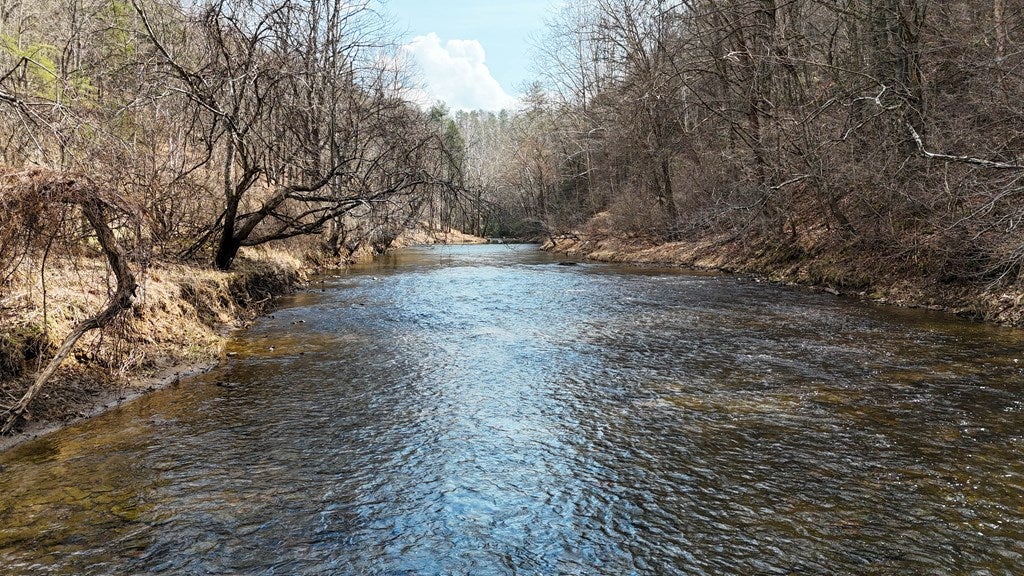 906 Scratch Gravel Road Max Meadows, VA 24360 - Photo 9 of 27 Gallery Image 9
