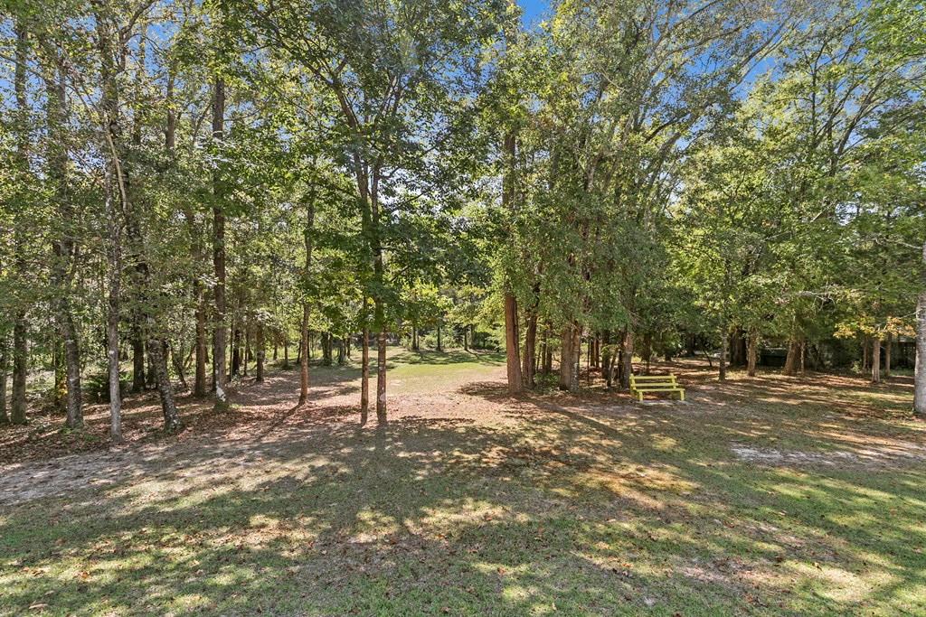 507 Limestone Road Dothan, AL 36301 - Photo 28 of 100