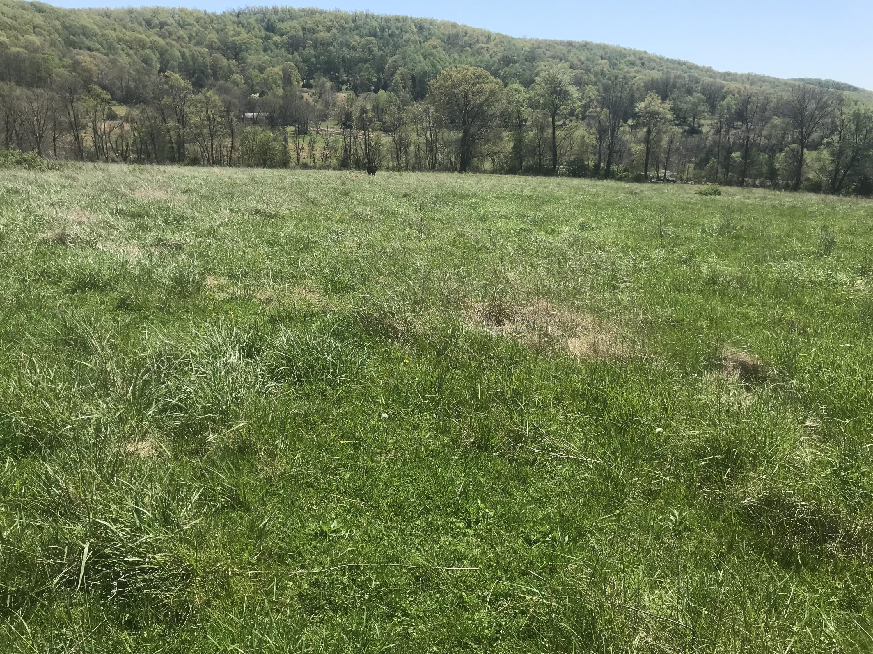 999 Sand Springs Road Mount Vernon, KY 40456 - Photo 6 of 6 52B78768-576E-4809-AC7C-EC4ACAF371E1
