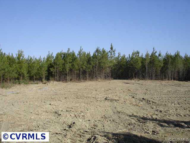 41-19 Spiceley Road Ford, VA 23850 - Photo 3 of 6 a view of a dry yard with trees in the background