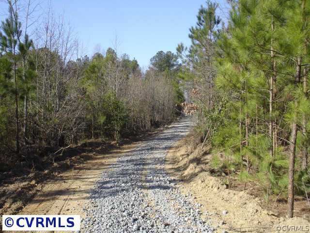 41-19 Spiceley Road Ford, VA 23850 - Photo 6 of 6 a view of a yard with trees