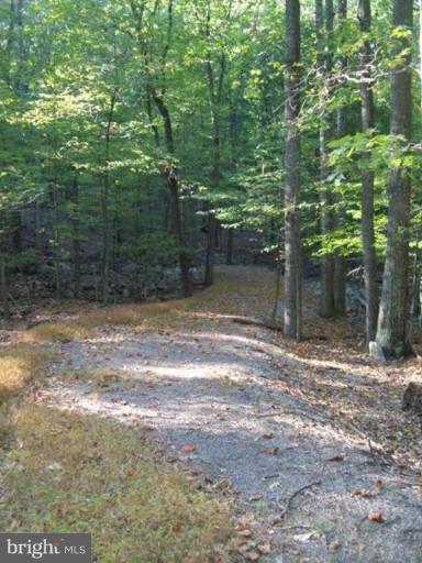 2 Boulder Spring Place Berkeley Springs, WV 25411 - Photo 6 of 10 Shared Driveway