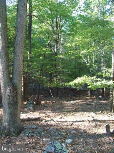 2 Boulder Spring Place Berkeley Springs, WV 25411 - Photo 7 of 10 Wooded View / Acreage