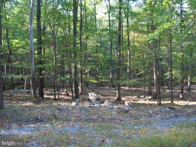 2 Boulder Spring Place Berkeley Springs, WV 25411 - Photo 8 of 10 Wooded View / Acreage 2