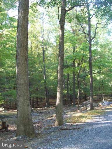 2 Boulder Spring Place Berkeley Springs, WV 25411 - Photo 9 of 10 Other #2