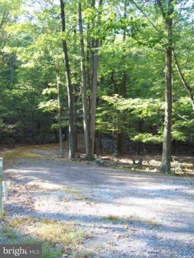 2 Boulder Spring Place Berkeley Springs, WV 25411 - Photo 10 of 10 Shared Driveway