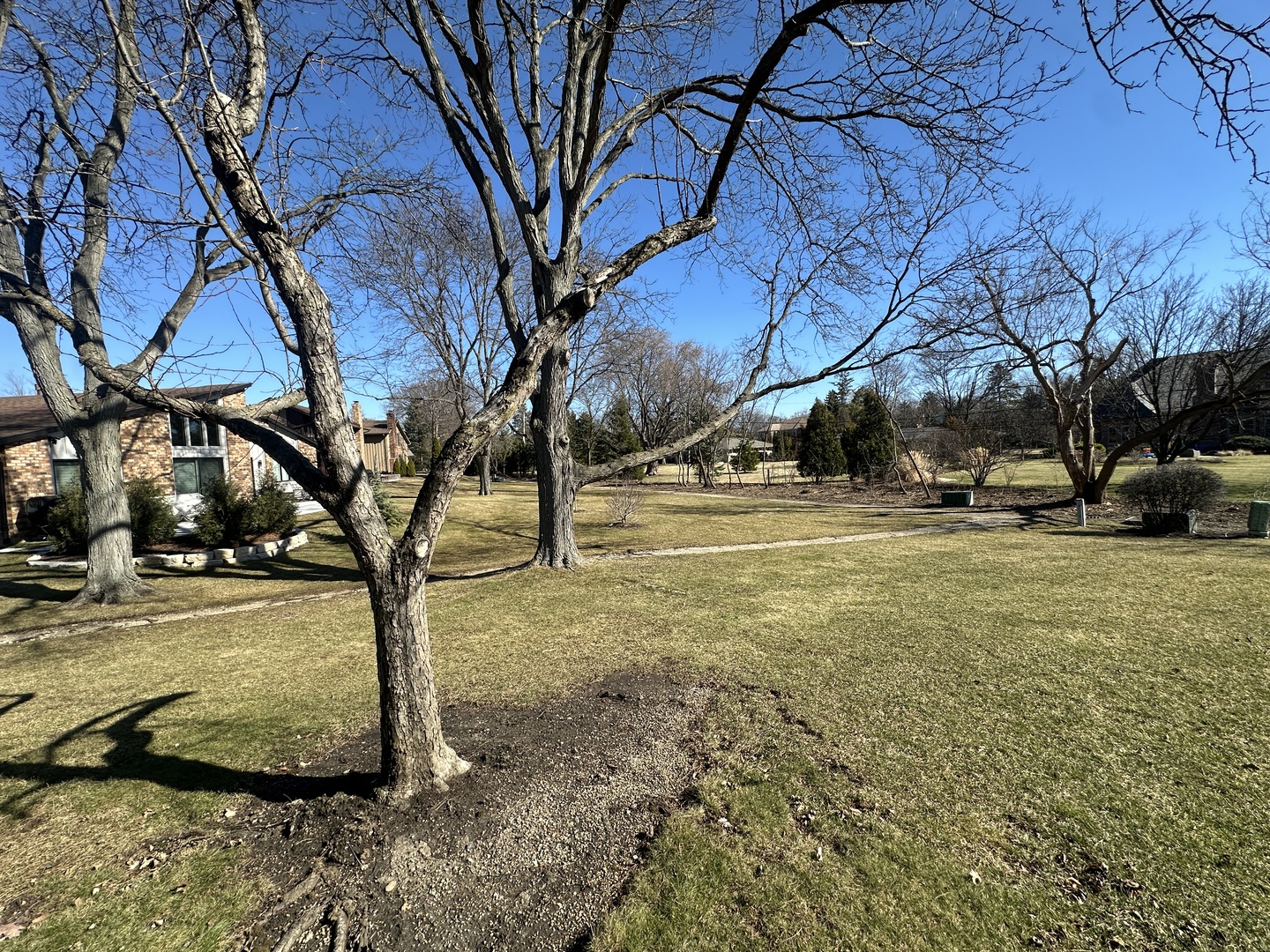 3008 Rennes Court Northbrook, IL 60062 - Photo 29 of 32 a view of road with large trees