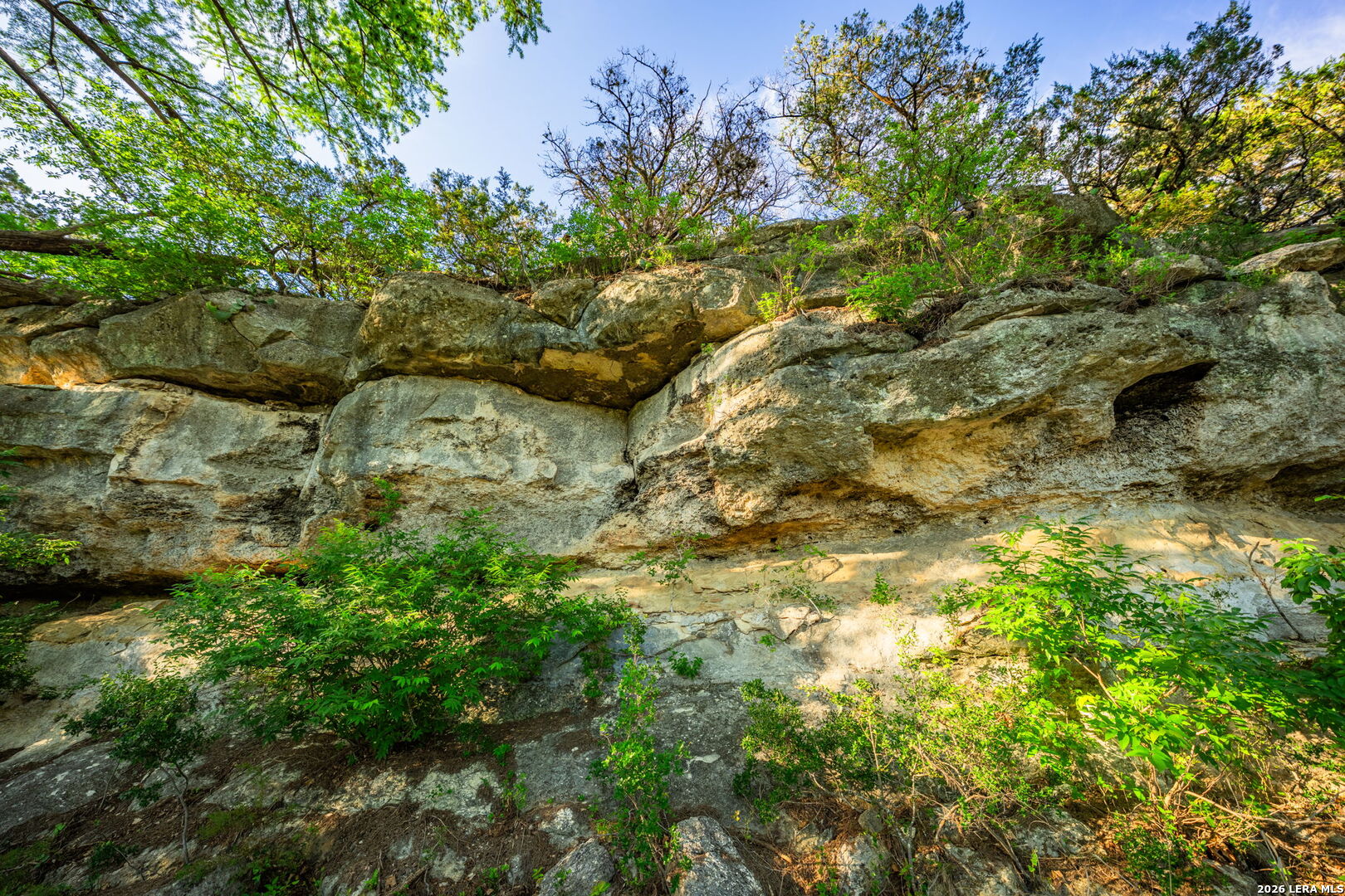 190 A Richter Road Boerne, TX 78006 - Photo 18 of 50