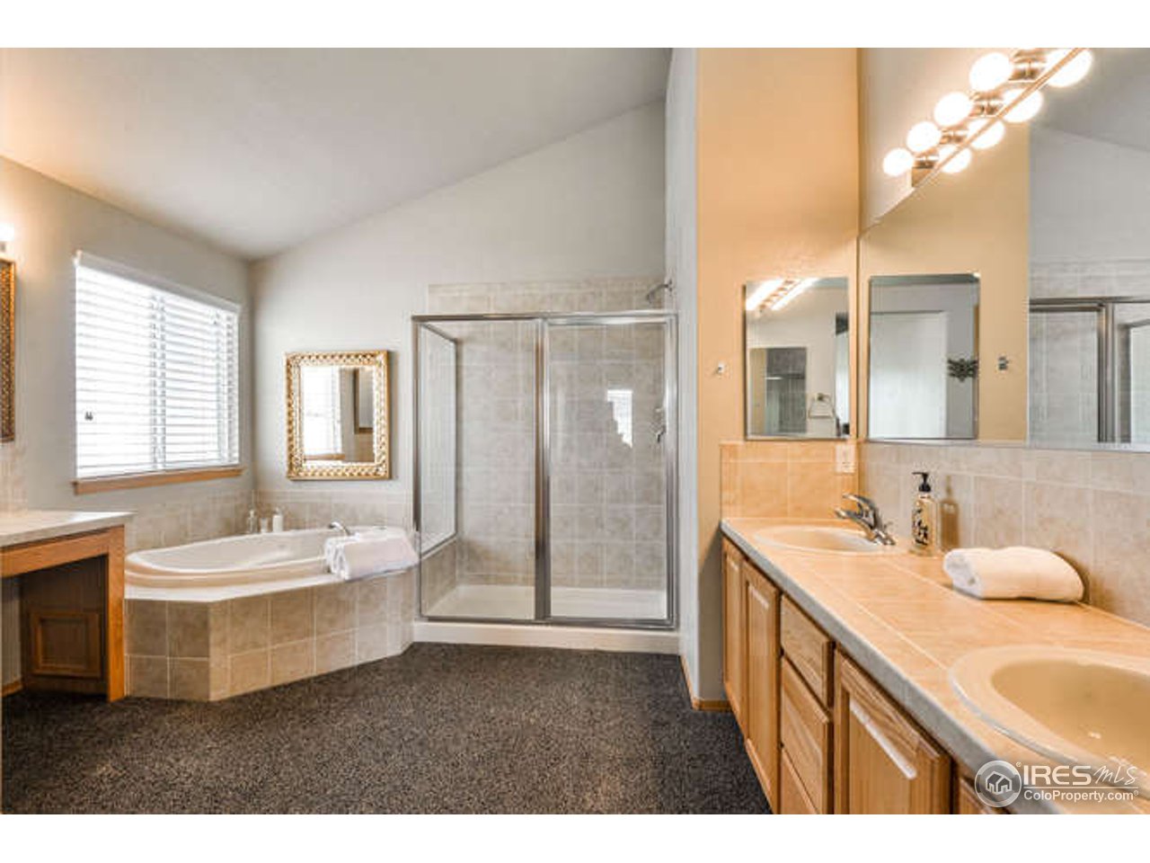 6909 Ranger Drive Fort Collins, CO 80526 - Photo 15 of 38 Master Bath