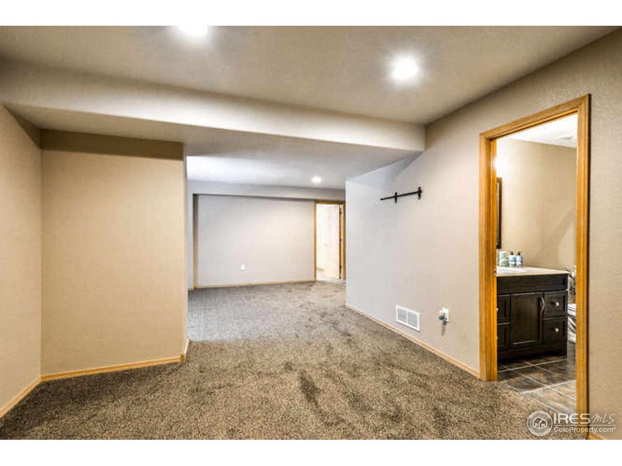 6909 Ranger Drive Fort Collins, CO 80526 - Photo 23 of 38 Rec Room