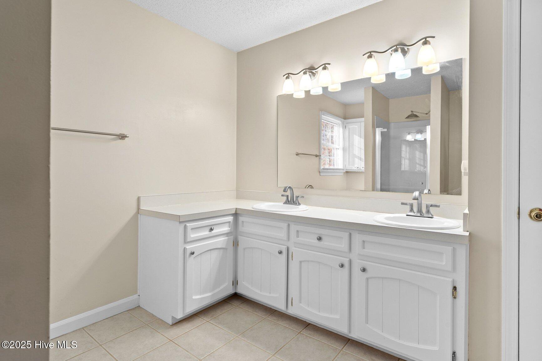 155 Deer Walk Road Tarboro, NC 27886 - Photo 19 of 31 Double vanities, walk in shower
