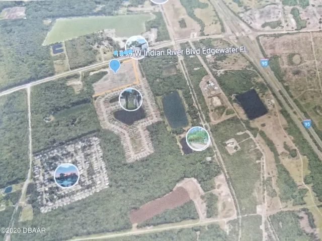 a garden view with palm trees