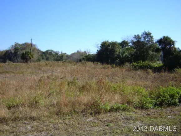 a view of a field of grass and trees