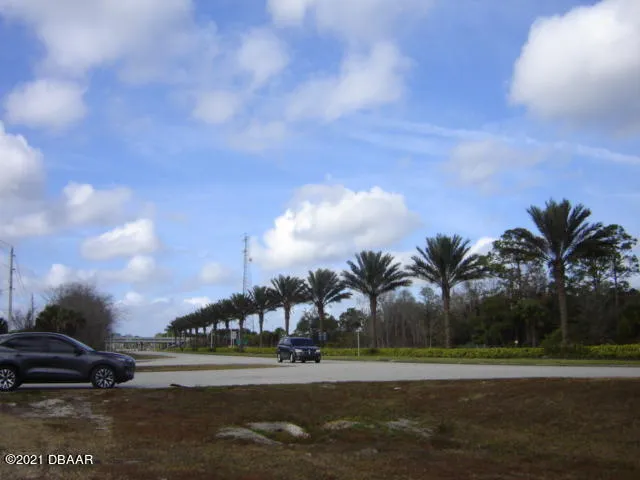 a view of a swimming pool with palm trees